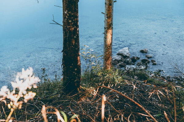 Looking Clear Water Mountain Lake — Stock Photo, Image