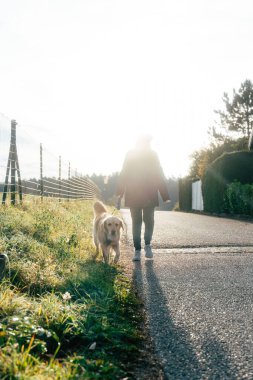 Huzurlu bir yolda, yanında bir golden retriever ile dolaşan bir insan. Güneş arka planda yükselir, sıcak bir parıltı yayar ve çevredeki yeşillikleri aydınlatır. Bu sakin yürüyüş sakin bir açık hava ortamında meydana gelir, bir konnec vurgulayarak