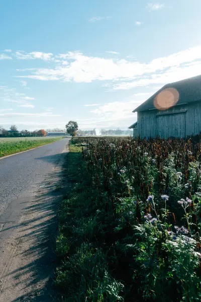 stock image A picturesque rural road stretches alongside a charming wooden barn, bordered by flourishing vegetation and wildflowers. The clear blue sky above adds serenity to the tranquil landscape, inviting peaceful exploration.