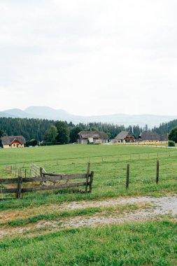 A tranquil rural area features expansive green pastures and several traditional farmhouses set against a backdrop of distant mountains under a gray sky. clipart