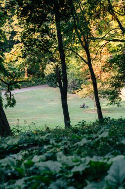 A person lounges on the grass in a lush park during a warm afternoon. Sunlight filters through trees, creating a peaceful atmosphere filled with nature's colors. clipart