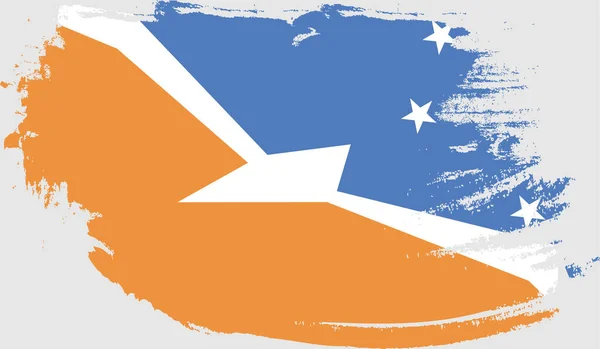 Tierra Del Fuego Province Argentina的Grunge国旗 — 图库矢量图片