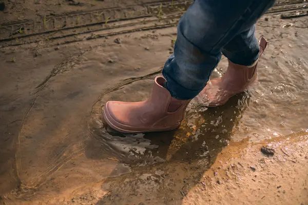 Photo of kids feet in dusty pink rubber boots walking in clear water in puddle on sandy countryside road