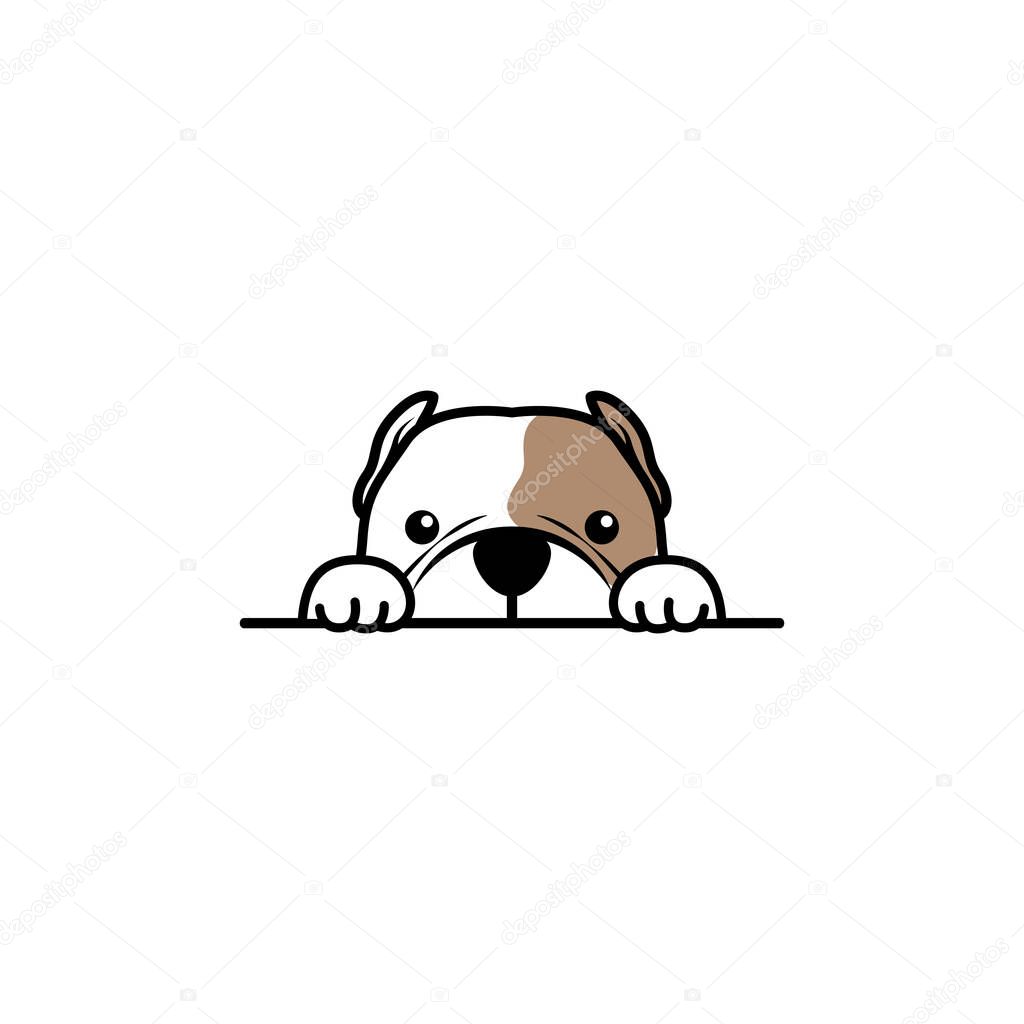 Cute american bully dog peeking cartoon, vector illustration