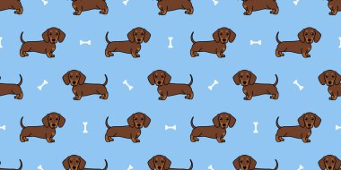 Şirin dachshund köpek çikolatası ve bronz çizgi film kusursuz desen, vektör çizimi