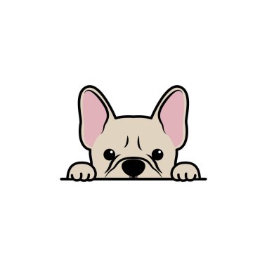 Tatlı Fransız Bulldog krem rengi. Çizgi film, vektör illüstrasyonu.