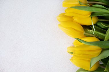 Hafif arka planda sarı laleler. Metin için yer, üst görünüm