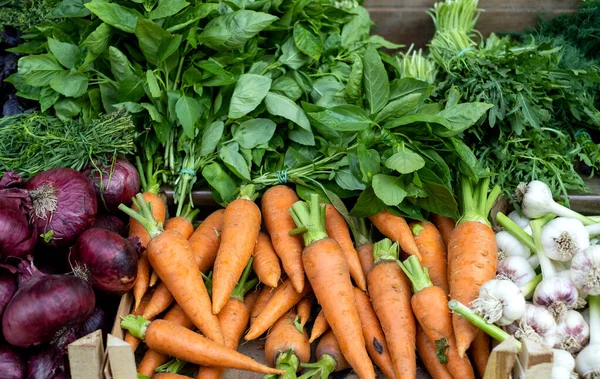 Organik sebzeler pazarın tezgahında. Havuç soğan ve sarımsak. Düzgün beslenme, organik sebzeler.
