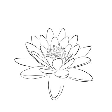 Devamlı çizgi çizimi. çizgi sanat lotus vektörü minimalistik orta yüzyıl tasarımı