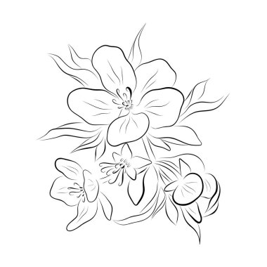 Devamlı çizgi çizimi. çizgi sanatı elma çiçeği vektörü minimalist