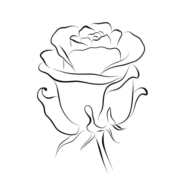 Малюнок Безперервної Лінії Лінія Мистецтва Троянда Векторні Ілюстрації — стоковий вектор