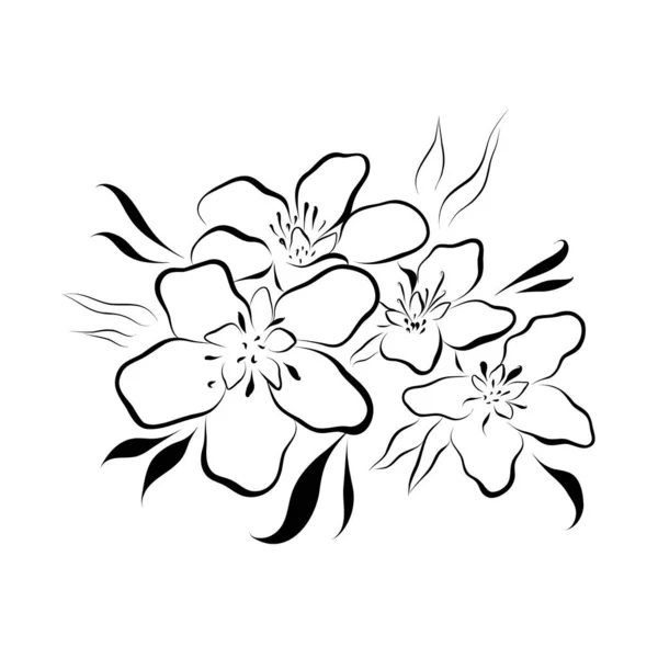 Малюнок Безперервної Лінії Лінійне Мистецтво Цвітіння Яблук Вектор Мінімалістичний — стоковий вектор