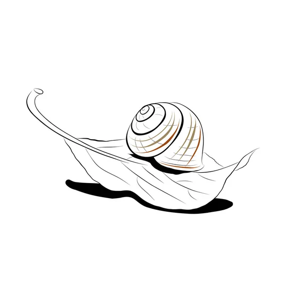 Dessin Continu Line Art Escargot Sur Une Feuille Illustration Vectorielle — Image vectorielle