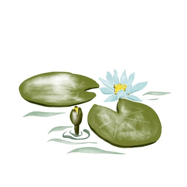 Digitális Akvarell Virág Vízililiom Levelek Virág Vízben — Stock Fotó