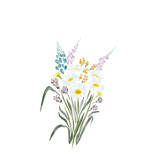 Digitales Aquarell Blumenstrauß Von Feldkräutern Fest Von Ivan Kupala — Stockfoto