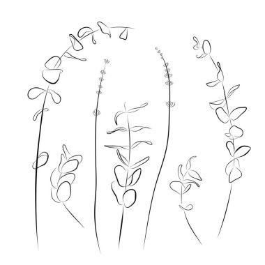 Sürekli çizim. okaliptüs serpiştirme vektör illüstrasyonunun çizgi sanatı