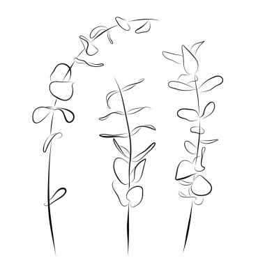 Sürekli çizim. okaliptüs serpiştirme vektör illüstrasyonunun çizgi sanatı