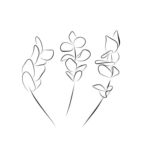Dessin Continu Line Art Set Branches Eucalyptus Illustration Vectorielle — Image vectorielle
