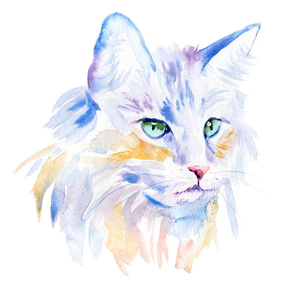 watercolor drawing of a cat drawn by hand - norwegian forest cat. paint drips