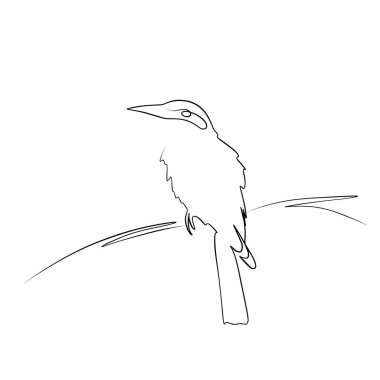 Sürekli bir çizim çizgisi. Bir dalda kuş olan basılı dekoratif poster.