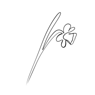 Sürekli çizgiler çiziyor. Narcissus çiçeğinin çizgi çizimi. Vektör minimalistiName