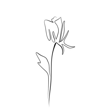 Sürekli bir çizim çizgisi. Duvar dekorasyonu için genel gül çiçeği konseptiyle basılmış dekoratif poster.