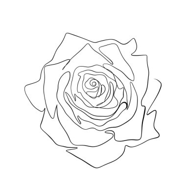 Sürekli bir çizim çizgisi. Duvar dekorasyonu için genel gül çiçeği konseptiyle basılmış dekoratif poster.