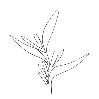 Sürekli çizgiler çiziyor. Çizgi sanatı bir çiçeğin sürekli çizimi. Vektör minimalist tasarımı