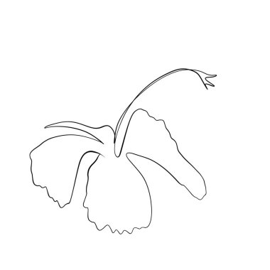 Sürekli çizgiler çiziyor. Çizgi sanatı bir çiçeğin sürekli çizimi. Vektör minimalist tasarımı
