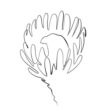 Sürekli çizgiler çiziyor. Çizgi sanatı bir çiçeğin sürekli çizimi. Vektör minimalist tasarımı