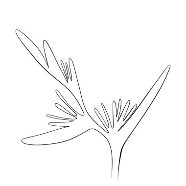 Sürekli çizgiler çiziyor. Çizgi sanatı bir çiçeğin sürekli çizimi. Vektör minimalist tasarımı