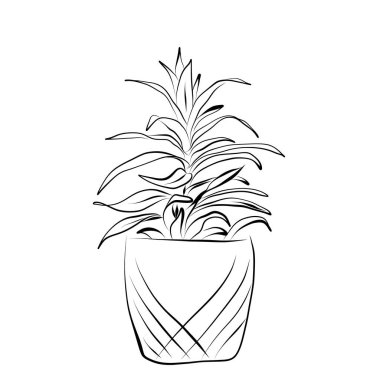 Çizgi çizme. Çiçek saksısında bir çizim fabrikası. Vektör minimalist tasarımı