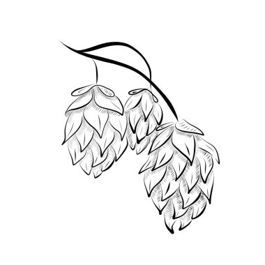 Çizgi çizme. Sanat serisi bira için meyve topluyor. Vektör minimalist tasarımı