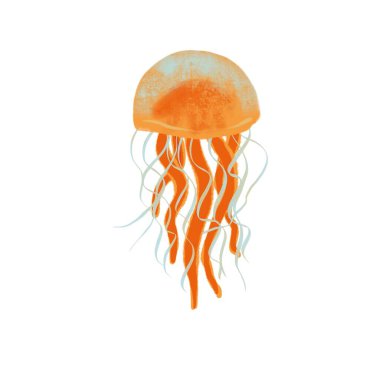 Okyanus yolculuğunun png çizimi dijital turuncu denizanası tasarımınız için