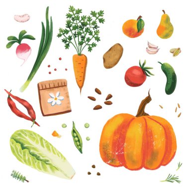 Tasarımınız için mutfak teması üzerine png dijital çizim - sebze ve baharatlar