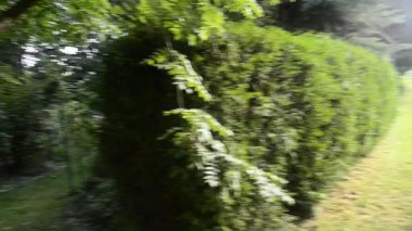 Doğanın güzel manzarası