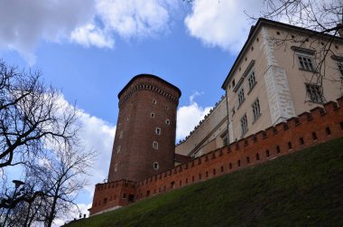 Krakow şehrindeki şato