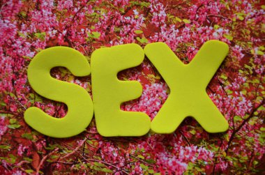 Soyut renklerde kelime seksi.