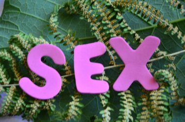 arka plan üzerinde kelime seks