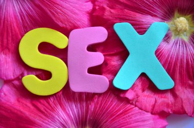 renkli bir arka plan üzerinde kelime seks