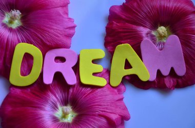 Renkli bir arkaplanda hayal et