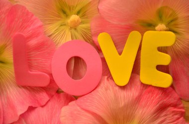 Renkli arka plan üzerinde kelimesini seviyorum