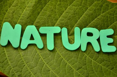 Yeşil bir yaprağın üzerindeki kelime doğası.