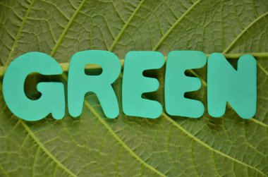 Soyut arkaplanda kelime ekosu