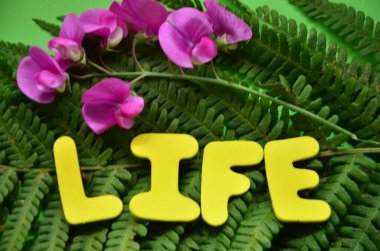 arka plan üzerinde hayat kelime