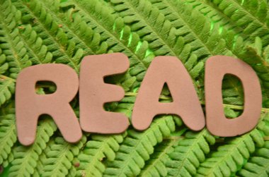 Soyut renkli arkaplanda sözcük okuma