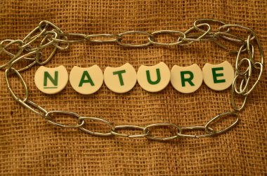 Kelime zinciri ahşap bir arka planda ahşap harflerle yapılır