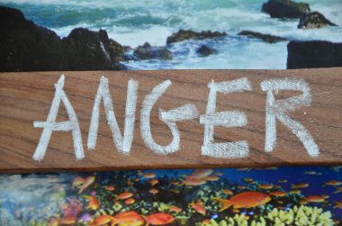 Denizi gösteren yazılar. Deniz ve deniz yaşamı için iş konsepti.