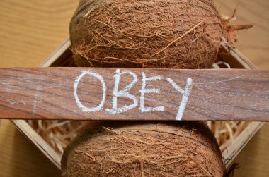 Hindistan cevizi ve kahverengi arka planda ahşap harfler.