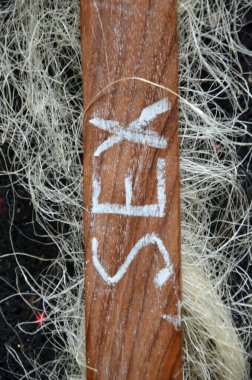 Tahta bir arka planda 